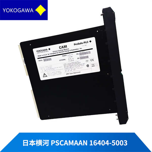 Product Description of the PSCAMAAN-A5E0023936304 YOKOGAWA Module: